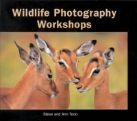 Wildlife Photography Workshops артикул 1655a.
